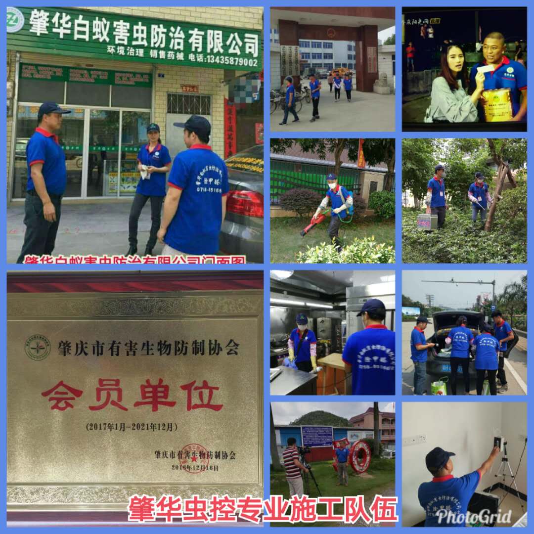 微信圖片_20180904115639.jpg